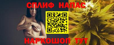 гашик Гусиноозёрск