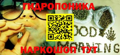 jwh Гусев