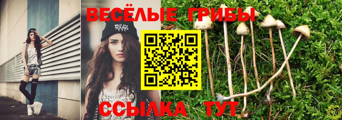 Псилоцибиновые грибы Psilocybine cubensis Ижевск