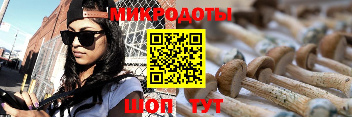 Псилоцибиновые грибы Magic Shrooms  Вход с VPN  Ижевск  Псилоцибиновые грибы мицелий 